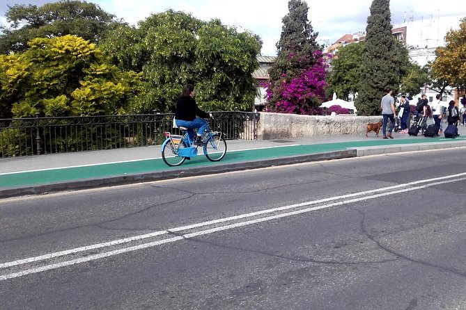 Bike Tour Through the Parks of Seville - Common Questions