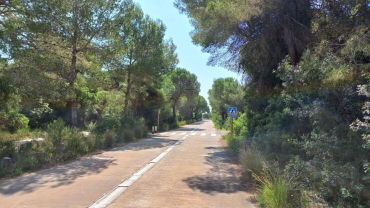 Bike Tour to Albufera Lake - Private Half Day - Tour Overview