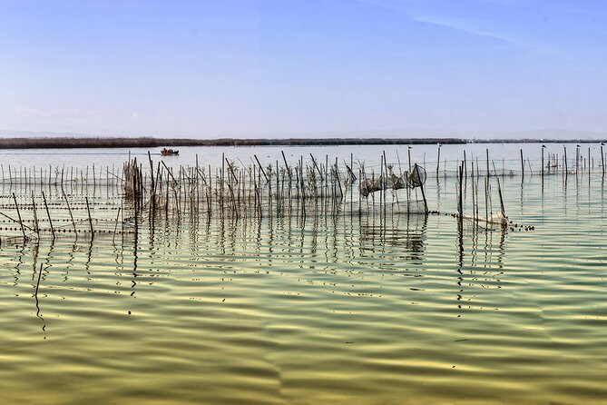 Bike Tour to Albufera Lake: Private Half Day - The Sum Up