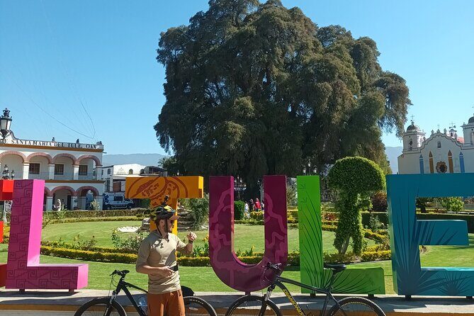 Bike tour to the Tule Tree and the Gastronomic Market - Good To Know