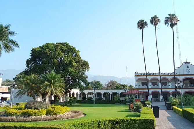 Bike tour to the Tule Tree and the Gastronomic Market - What to Expect at the Tule Tree Stop