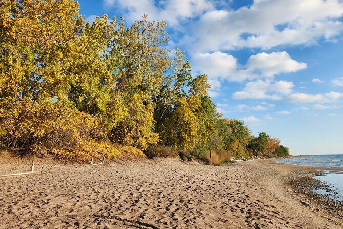 Bike Tour Toronto Harbourfront and Toronto Islands (Economical) - Good To Know