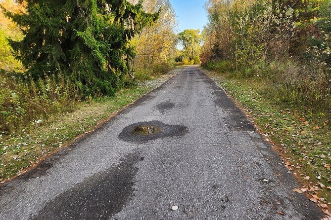 Bike Tour Toronto Harbourfront and Toronto Islands (Economical) - Authentic Insights from Reviews