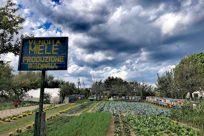 Bike Tour With Honey and Artichockes on Sant'Erasmo Island - Common Questions