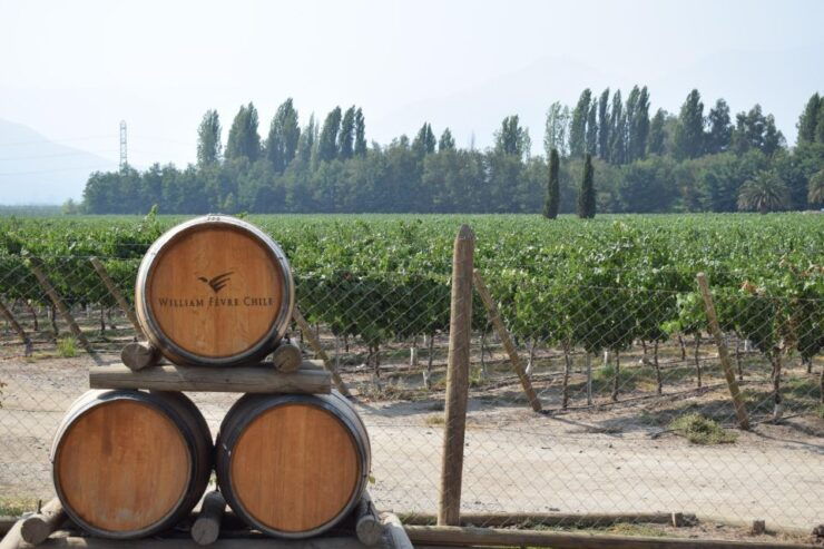 Bike & Wine Adventure in the Andes Mountains Pedal and Tast - Experience Highlights