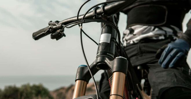 Bike & Wine in Budapest Region - Guided Gastro Tour - Experience Highlights