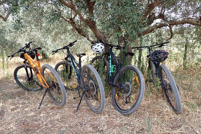 Bike & Wine Korula Adventure - Half Day Guided Bike Tour - Practical Considerations and Tips