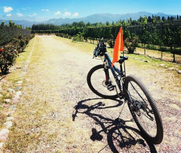 BikeTour- Winery, Handcraft Liquour Stre & Chocolate Factory - Activity Details