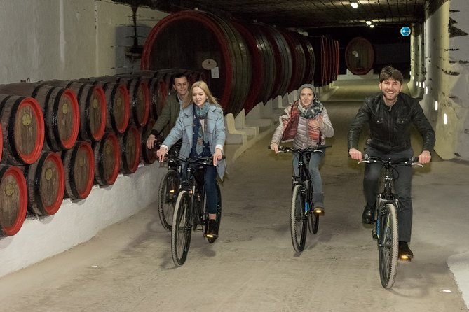 Biking a Guinness Book Winery - Private Tour Details