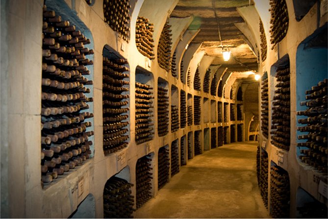 Biking a Guinness Book Winery - Travelers Experiences