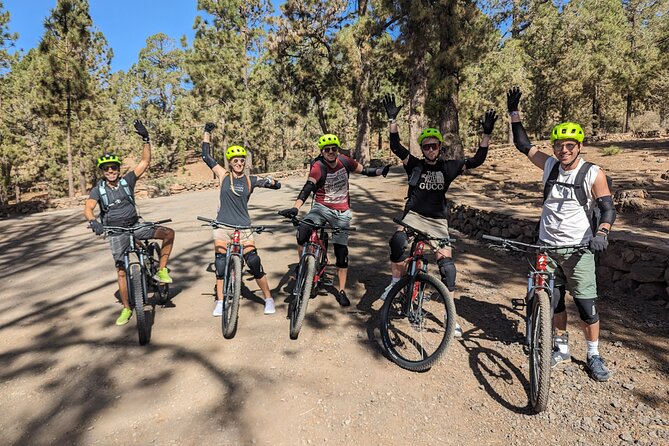 Biking Adventure From Teide to Sea With Wine and Cheese Tasting - Inclusions and Logistics