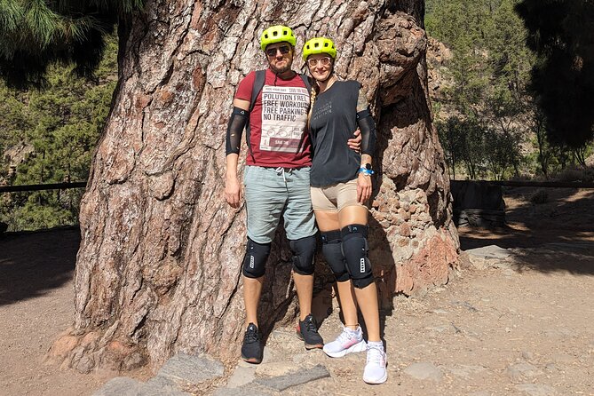 Biking Adventure From Teide to Sea With Wine and Cheese Tasting - Meeting Point and Time