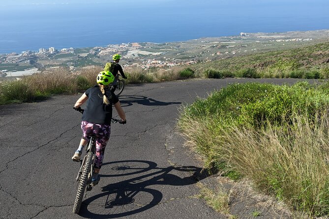 Biking Adventure From Teide to Sea With Wine and Cheese Tasting - The Sum Up