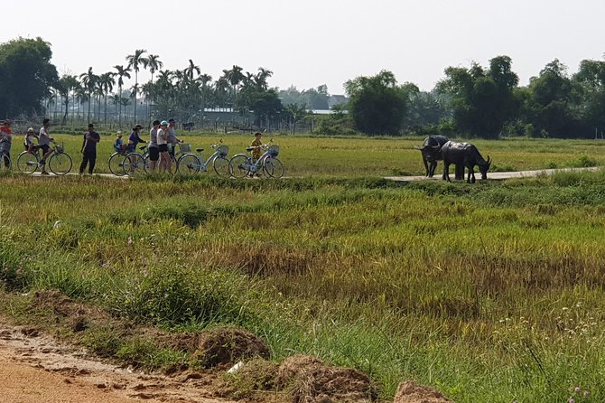 Biking and Enjoying Local Food - The Sum Up