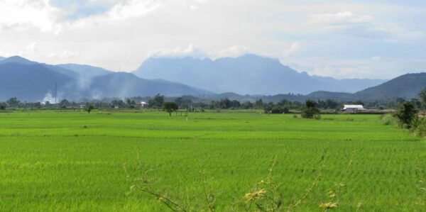 Biking the Hills of Chiang Dao From Chiang Mai - Questions You May Have