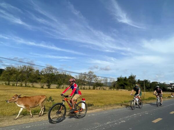 Biking Through Dalat Countryside Tour - Frequently Asked Questions