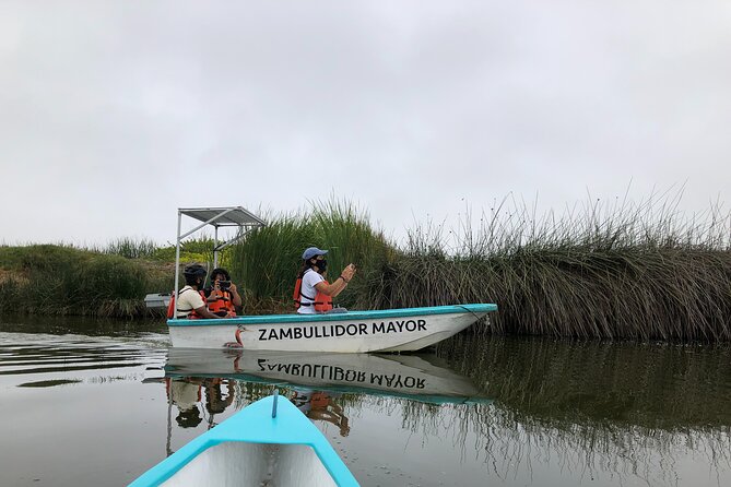 Biking to Wildlife Refuge and Birdwatching (Pantanos De Villas) - Reviews