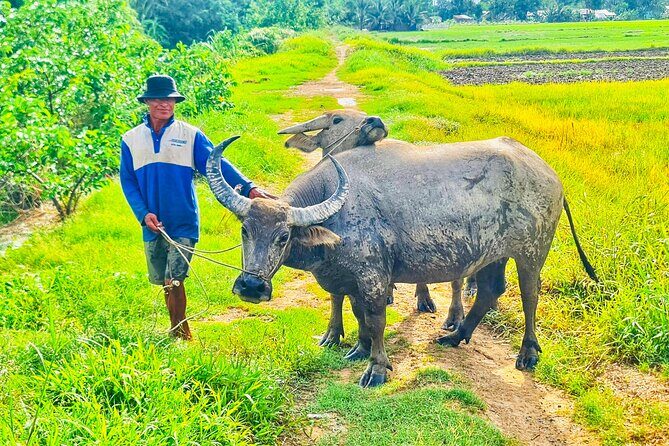 Biking Tour in The Pineapple Villages - Deep Dive into the Itinerary
