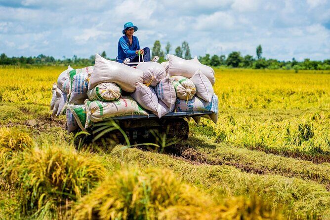 Biking Tour in The Pineapple Villages - Good To Know