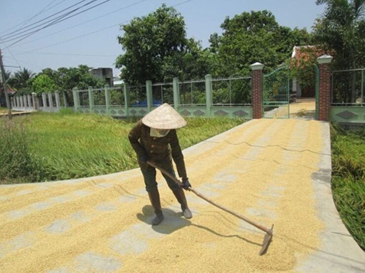 Biking Tour: Nha Trang Countryside - Activity Details