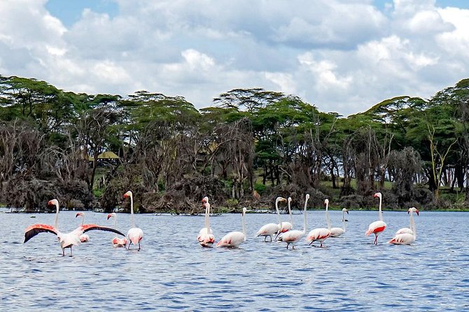Biking Tour:Lake Naivasha And Hells Gate 1 Day Trip - Additional Notes