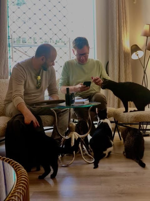 Bilbao: 30-Minute Entry Ticket to a Cat Café - Café Atmosphere and Amenities