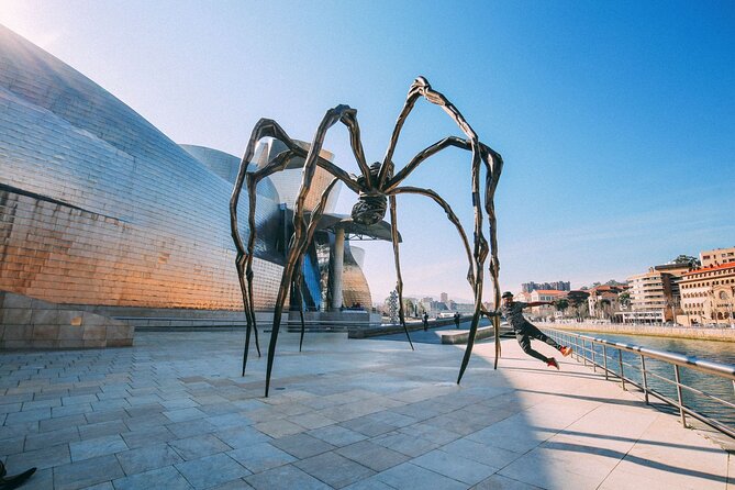 Bilbao Airport Transfers : Bilbao City to Bilbao Airport BIO in Business Car - Private Tour/Activity