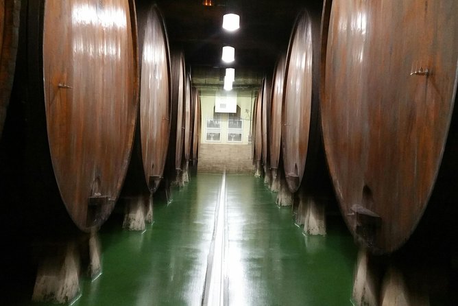 Bilbao: Cider and the Basque Sea Factory - Experiencing the Basque Sea Factory Tour