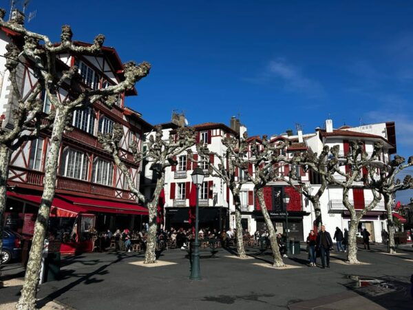 Bilbao : Optimized Transfer To/From Bordeaux - Tips for a Smooth Journey