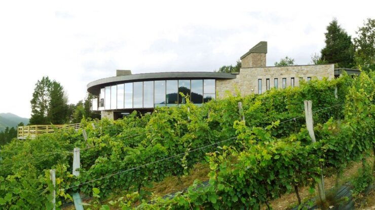 Bilbao: Organic Winery Visit With Tasting - Activity Details