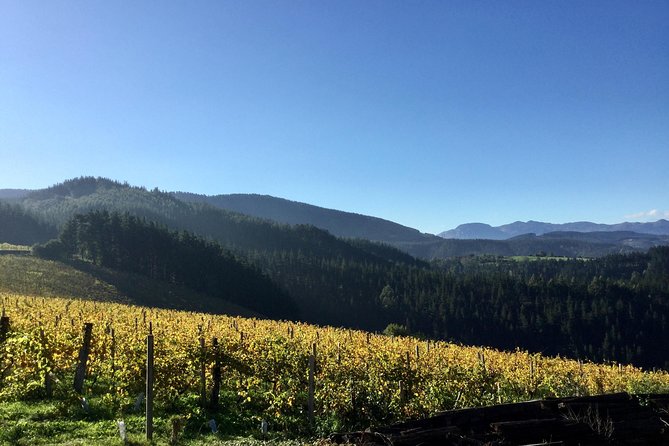 Bilbao Txakoli Wine Tour - Directions