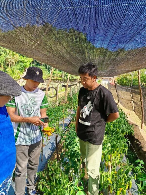 Biliran: 6 days 5 nights with hotel, tour and island hopping - Good To Know