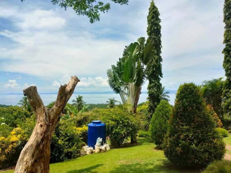 Biliran: Tinago Falls, Farm Tour & Tomalistis Falls Day Trip - Discover Biliran’s Hidden Natural Treasures