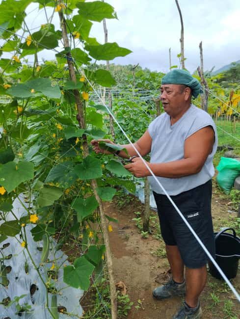 Biliran: Waterfalls & Nature Escape with lunch - Why This Tour Is Worth It