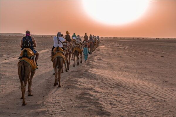 Billions of Stars Experience With Non Touristic Camel Safari - Common Questions