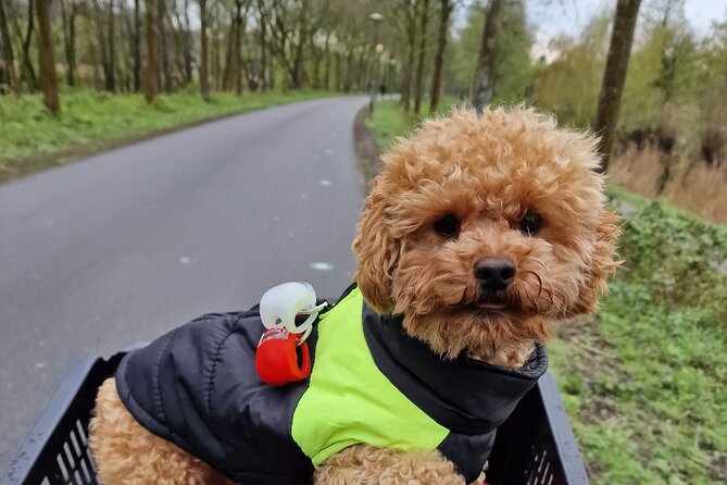 Bills Bike Tour Amsterdam - Bike With Bill and Puppy Herman - Unique Experience