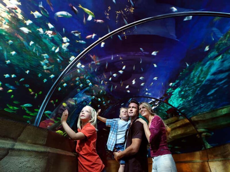 Billund: 1-Day Ticket to LEGOLAND® with All Rides Access - Who Is This Experience Best For?