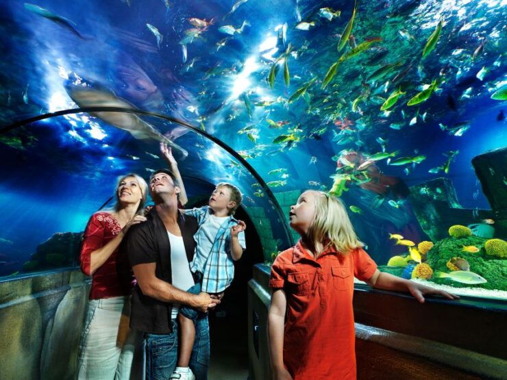 Billund: 1-Day Ticket to LEGOLAND With All Rides Access - Ticket Details and Benefits