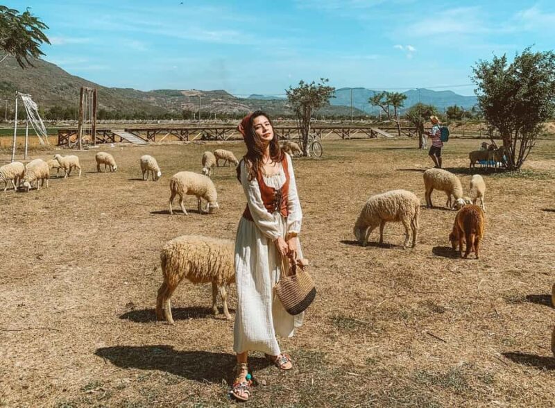 Binh Lap Tour Hang Rai - Sheep Field - Vinh Hy -Grape Garden - Exploring Vietnam’s Hidden Coastal Gems: Binh Lap, Hang Rai, and Beyond