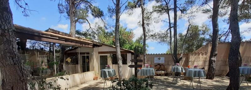 Binissalem: Individual Vineyard Tour and Wine Tasting - Customer Feedback