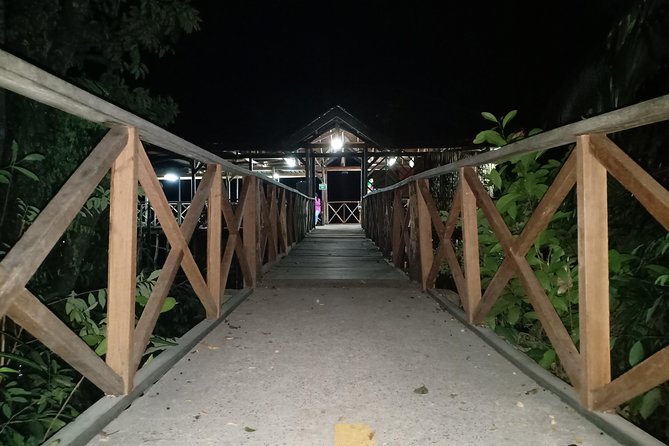 Bintan Fireflies Discovery Tour - Tour Overview