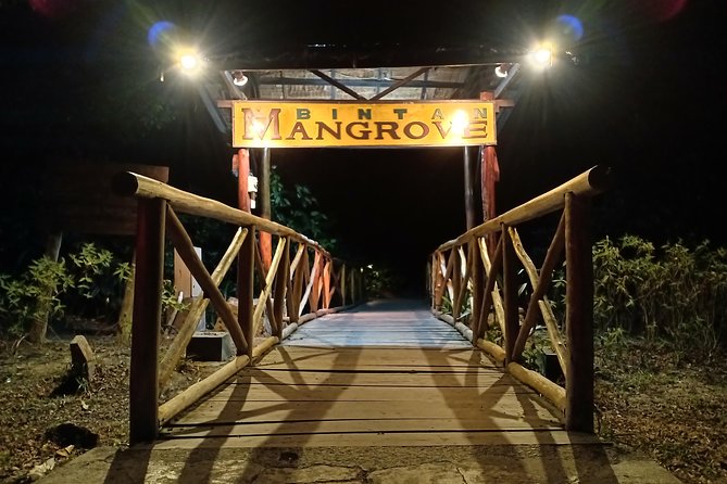Bintan Fireflies Discovery Tour - Review Summary