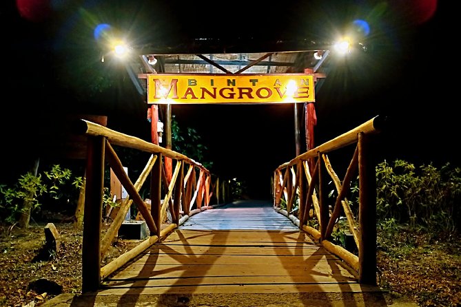 Bintan Fireflies Guided Boat Trip With Private Hotel Transfers  - Lagoi - Traveler Photos of the Firefly Experience