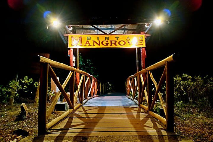 Bintan Fireflies Tour by Taxi Bintan Island - Following the mangrove lights