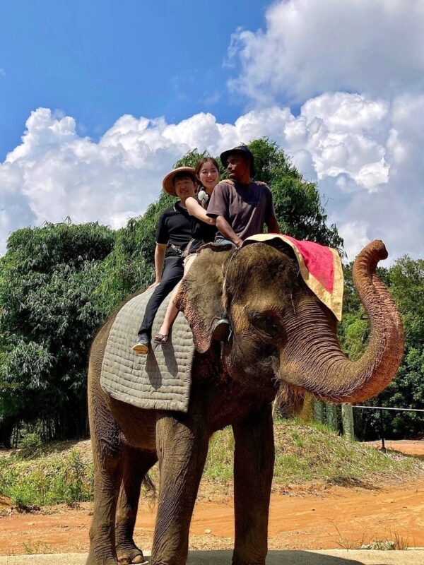 Bintan Half-Day Tour - Should you book the Bintan Half-Day Tour?