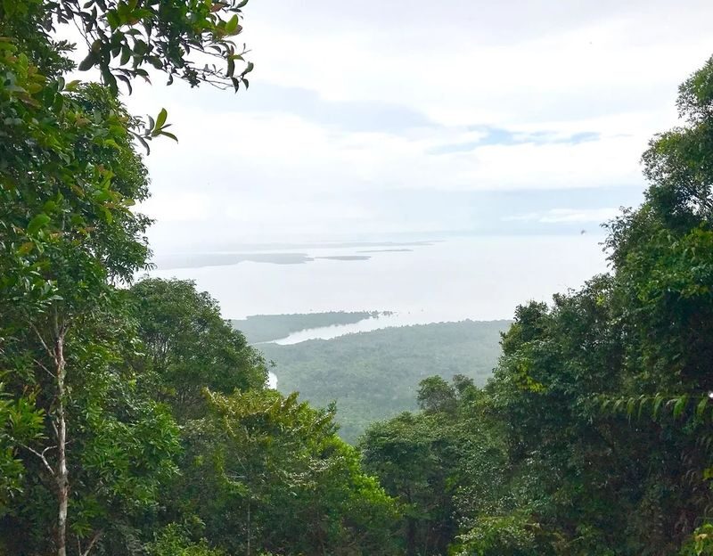 Bintan Hiking Challenge with Lunch - A 340-meter peak with a serious trail