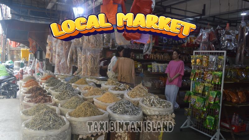 Bintan Island Full-Day Private Sightseeing Tour - Booking details worth checking
