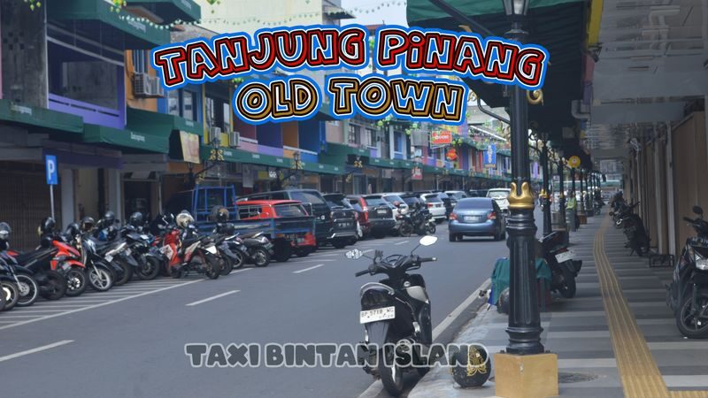 Bintan Island Full-Day Private Sightseeing Tour - Who should book this Bintan tour?