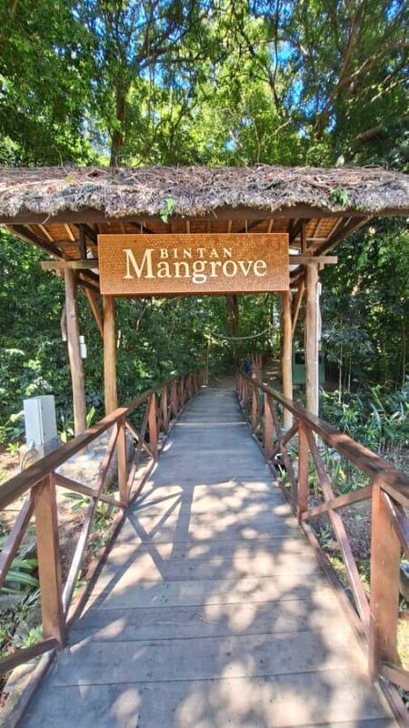 Bintan Island : Mangrove Or Fireflies Tour - Exploring the Sebong River: What to Expect
