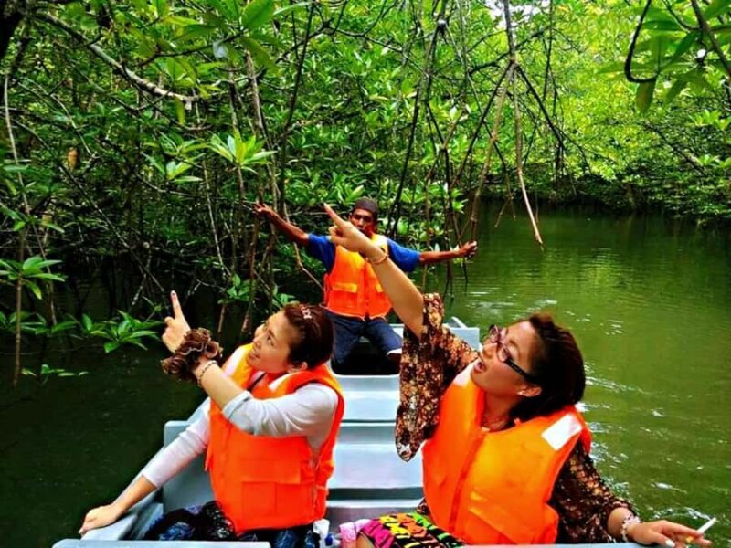 Bintan: Mangrove Discovery Boat Tour - Good To Know